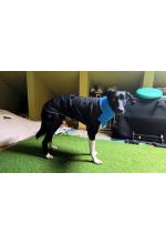 Photo from customer for Abrigo GREAT WHITE NORTH™