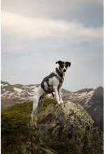 Photo from customer for Arnés Ruffwear WEB MASTER™ - outlet!