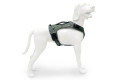 mochila alforja para perros Eqdog FLEX PACK™ compact negro ajuste y funcionalidad para que sea confortable  toma 7