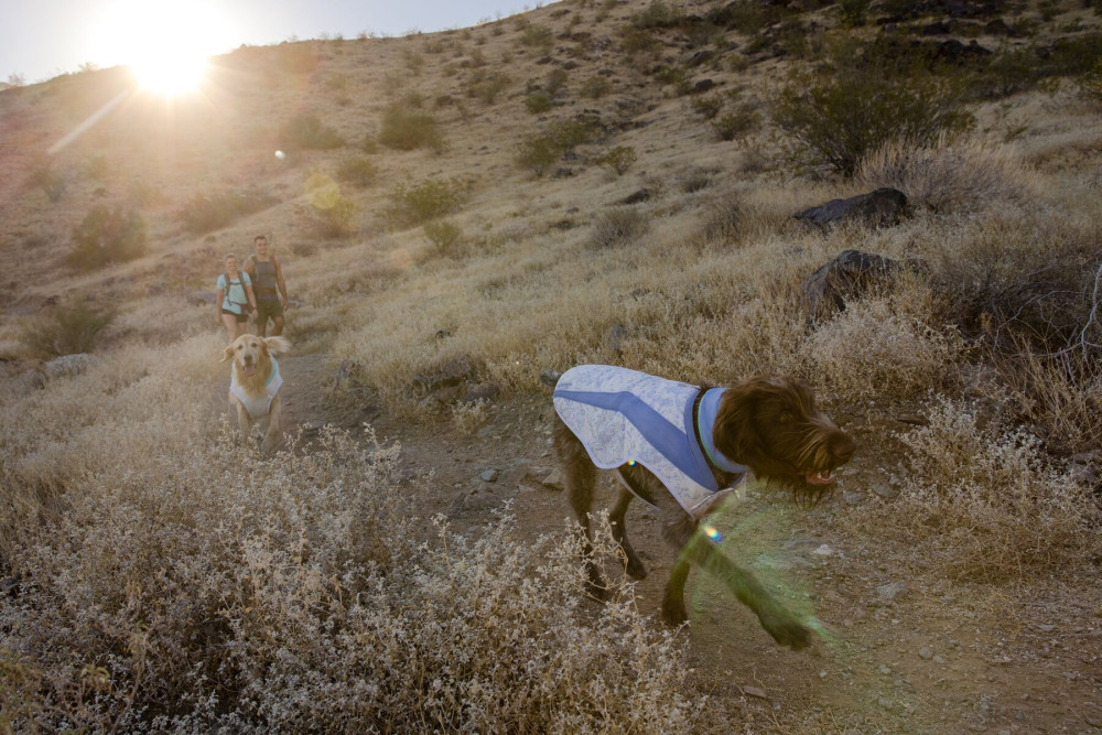 chaleco capa Ruffwear Swamp Cooler™ Verde enfriamiento, refleja la radiación solar máxima cubrición toma 15