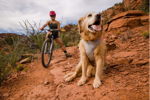 chaleco capa enfriamiento para perros Ruffwear Swamp Cooler Zip Turquesa refleja rdiación sol con alta cubrición toma 14