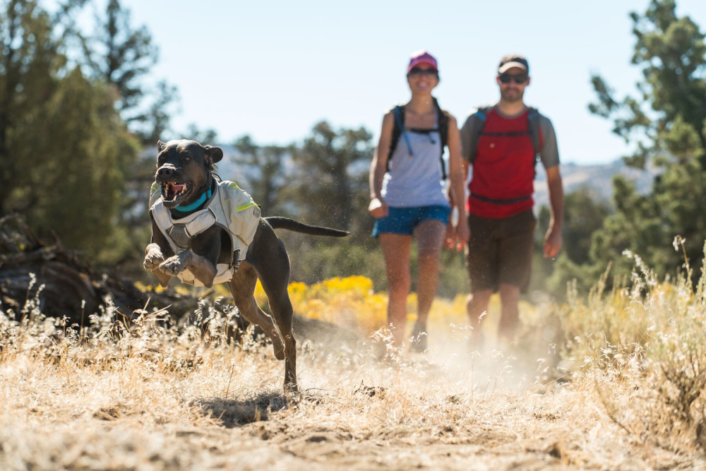 El panel Ruffwear Core Cooler™ aporta al perro un enfriamiento refrigeración por evaporación del agua. toma 6