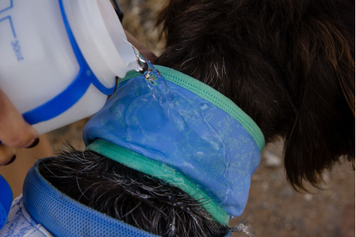 collar polaina Ruffwear Swamp Cooler™ Salmón aporta al perro un enfriamiento por evaporación del agua toma 8