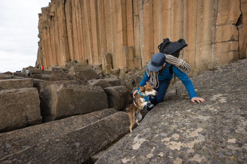 arnés para perros Ruffwear Flagline™ 2022 de apoyo multiuso. perros de trabajo, ayuda obstáculos, ayuda a la movilidad toma 37