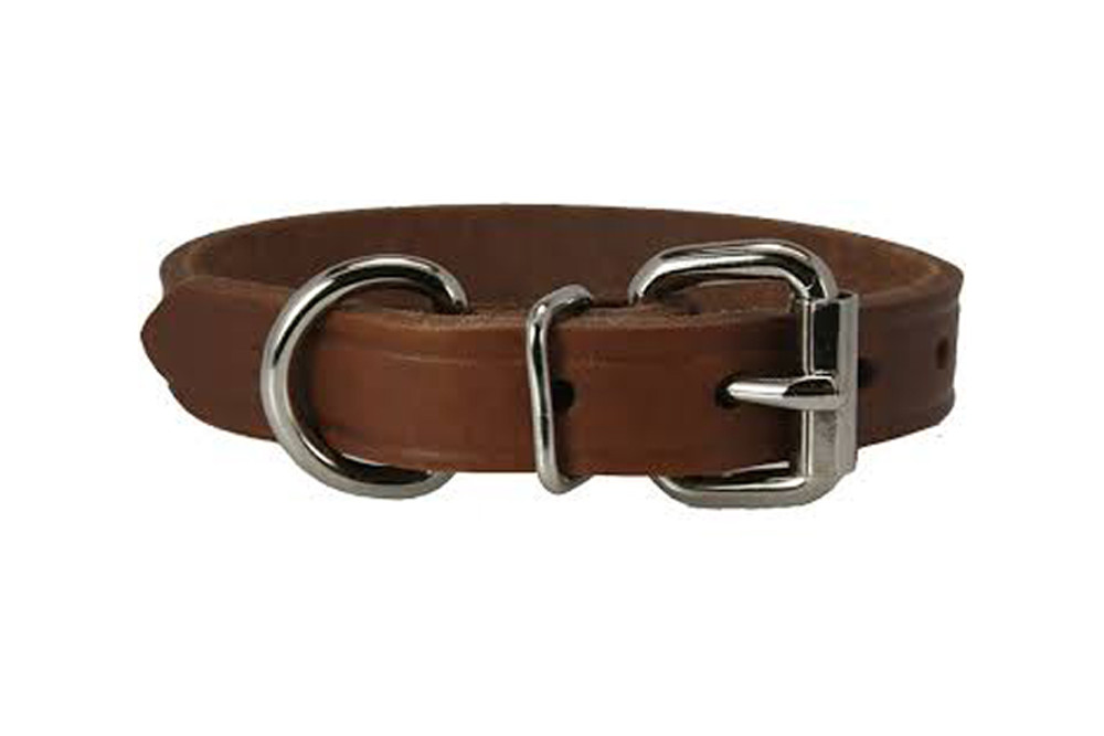 Collar BULLY LARGE DOGS