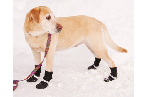botas zapatos para perros FL Muttluks las mejores en comodidad y protección. suela de piel transpirable y flexible perro 2