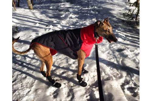 botas zapatos para perros FL Muttluks las mejores en comodidad y protección. suela de piel transpirable y flexible perro 4