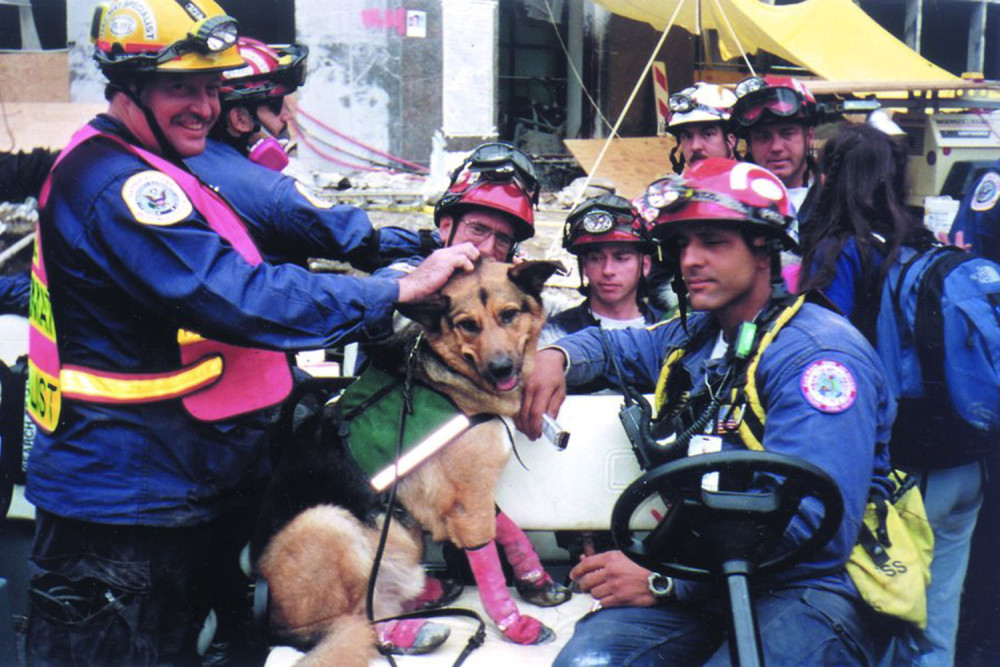 botas zapatos para perros FL Muttluks las mejores en comodidad y protección. suela de piel transpirable y flexible perro 6