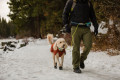 correa cinturón para perros Hitch Hiker™ Ruffwear posibilidad de ajustar la longitud. cuerda estilo montañismo toma 29