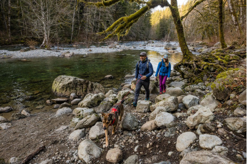 correa cinturón para perros Hitch Hiker™ Ruffwear posibilidad de ajustar la longitud. cuerda estilo montañismo toma 31