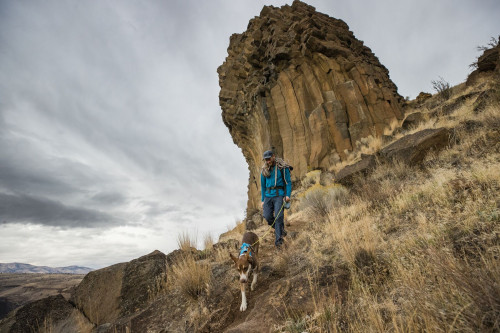 correa cinturón para perros Hitch Hiker™ Ruffwear posibilidad de ajustar la longitud. cuerda estilo montañismo toma 33