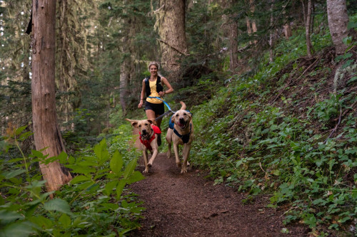 correa acoplador para dos perros Double Track™ Ruffwear cómoda, lleva elástico para absorber tirones toma 3