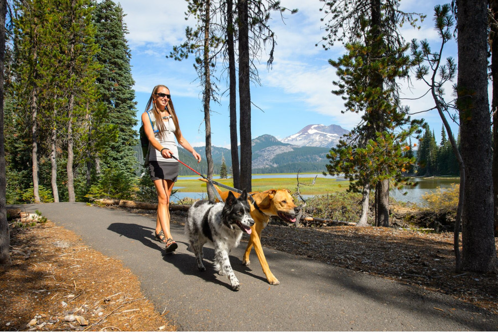 correa acoplador para dos perros Double Track™ Ruffwear cómoda, lleva elástico para absorber tirones toma 4