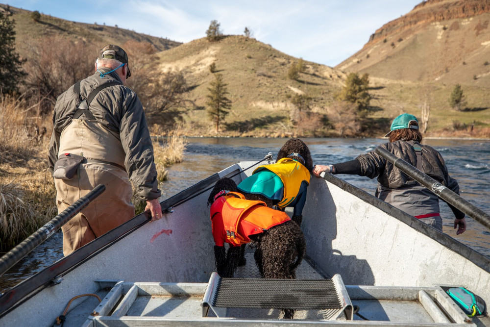 traje neopreno para perros de protección para el agua Ruffwear UNDERCOAT™ Turquesa aporta calor al perro toma 13
