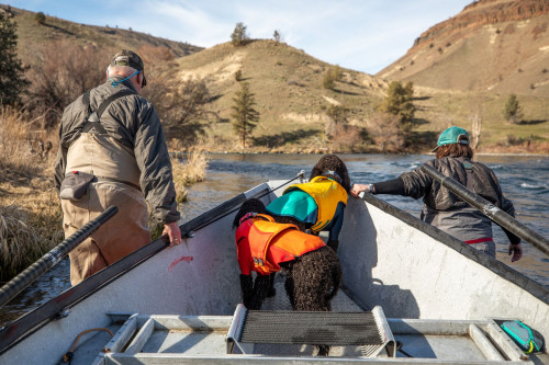 traje neopreno para perros de protección para el agua Ruffwear UNDERCOAT™ Turquesa aporta calor al perro toma 13
