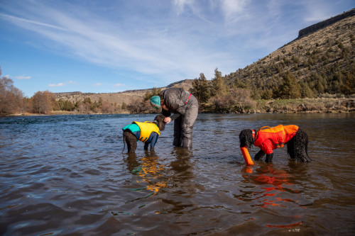 traje neopreno para perros de protección para el agua Ruffwear UNDERCOAT™ Turquesa aporta calor al perro toma 16