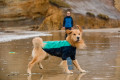 traje neopreno para perros de protección para el agua Ruffwear UNDERCOAT™ Turquesa aporta calor al perro toma 18