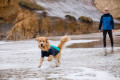 traje neopreno para perros de protección para el agua Ruffwear UNDERCOAT™ Turquesa aporta calor al perro toma 17