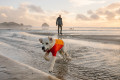 traje neopreno para perros de protección para el agua Ruffwear UNDERCOAT™ Naranja aporta calor al perro toma 13