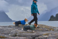 Chubasquero para perros Non-Stop azul, protección total a lluvia, viento, nieve… toma 12
