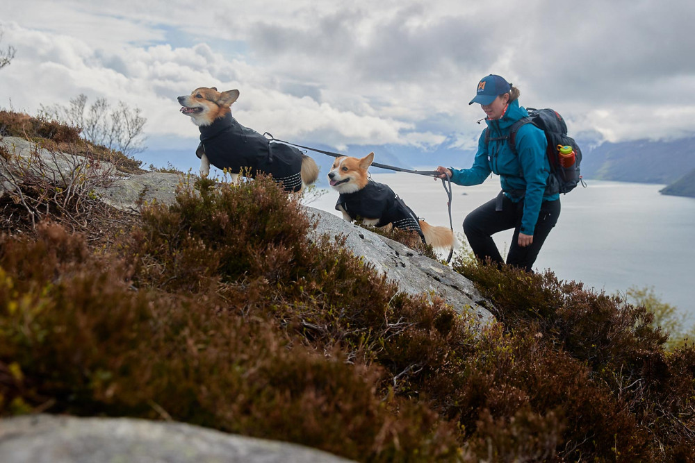 Chubasquero para perros Non-Stop naranja, protección total a lluvia, viento, nieve… toma 11