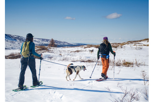 cinturón trekking senderismo Ferd Belt Non-Stop ligero, duradero, cómodo, expediciones largas. bolsa trasera. toma 4