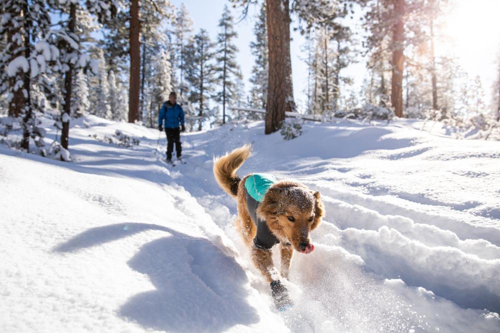 Abrigo para perros Ruffwear Cloud Chaser Turquesa toma 9