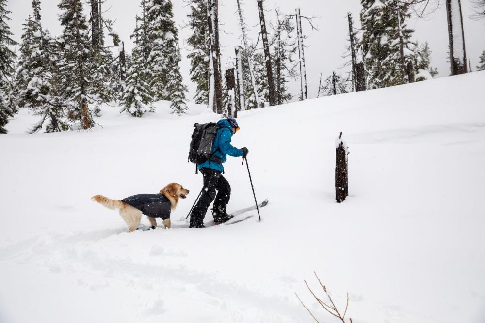 Abrigo para perros Ruffwear Cloud Chaser Turquesa toma 14