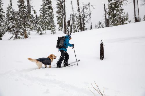 Abrigo para perros Ruffwear Cloud Chaser Turquesa toma 14