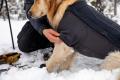 abrigo para perros Ruffwear CLOUD CHASER™ Negro protege lluvia, frío, nieve. actividades con perro días de mal tiempo toma 13