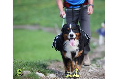 botas zapatos para perros 4 Seasons™ gris Eqdog todo en uno para cualquier superficie. Cómodas, alta duración. toma 7