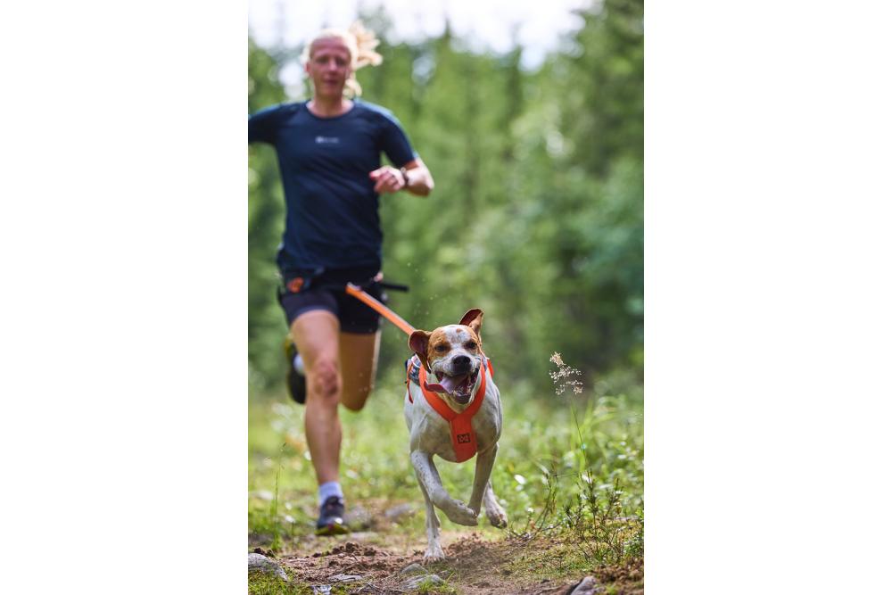 arnés para perros FreeMotion 5.0 de Non-Stop para canicross, bikejoring, bicicleta. cintas regulables. toma 5