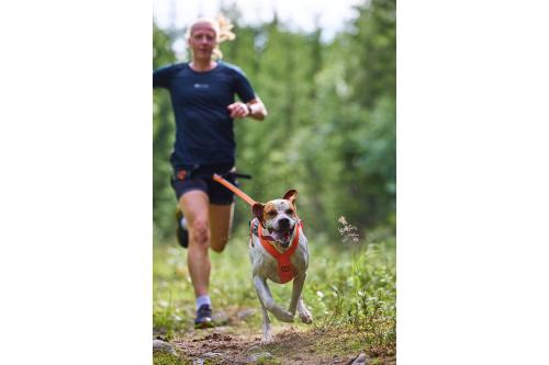 arnés para perros FreeMotion 5.0 de Non-Stop para canicross, bikejoring, bicicleta. cintas regulables. toma 5