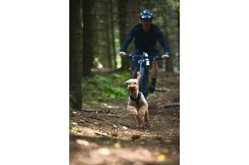 arnés para perros FreeMotion de Non-Stop para canicross, bikejoring, bicicleta. cintas regulables. toma 5