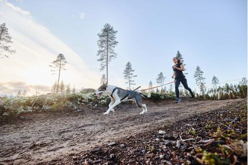 arnés para perros FreeMotion de Non-Stop para canicross, bikejoring, bicicleta. cintas regulables. toma 8