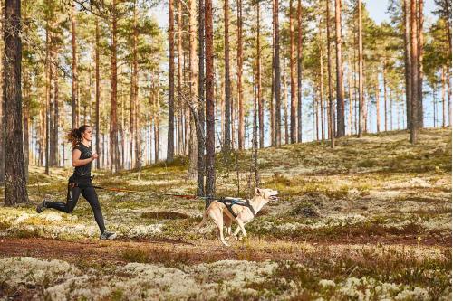 arnés para perros FreeMotion de Non-Stop para canicross, bikejoring, bicicleta. cintas regulables. toma 9