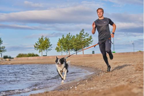 Línea correa canicross Non-Stop. en acción 1