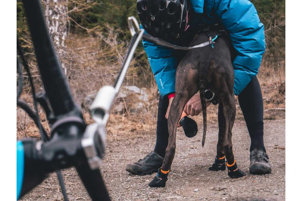 botas zapatos para perros Protector Non-Stop con alta protección y duración.  Material anticorte nivel 5 toma 5