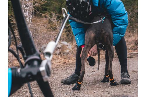 botas zapatos para perros Protector Non-Stop con alta protección y duración.  Material anticorte nivel 5 toma 5