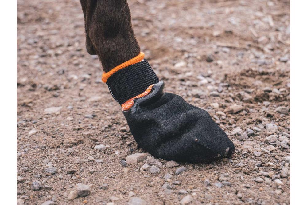 botas zapatos para perros Protector Non-Stop con alta protección y duración.  Material anticorte nivel 5 toma 6