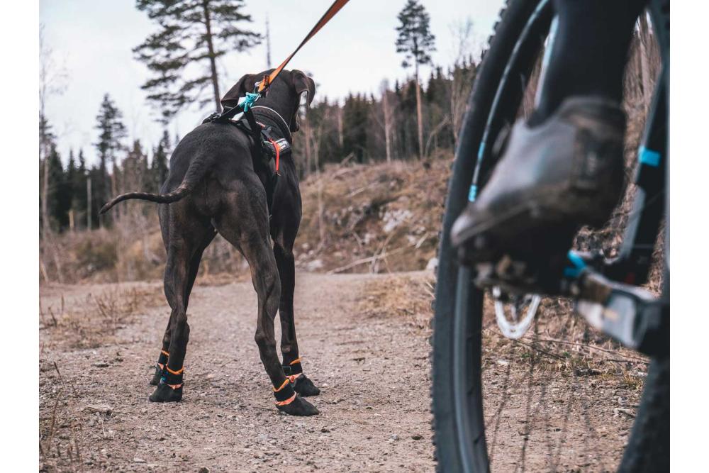 botas zapatos para perros Protector Non-Stop con alta protección y duración.  Material anticorte nivel 5 toma 7