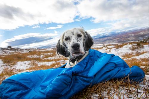 Saco dormir para perros Non-Stop LY Sleeping Bag 7