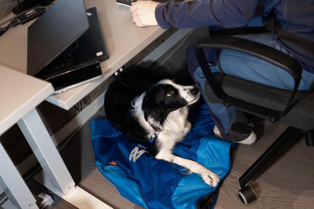 Saco dormir para perros Non-Stop LY Sleeping Bag 8