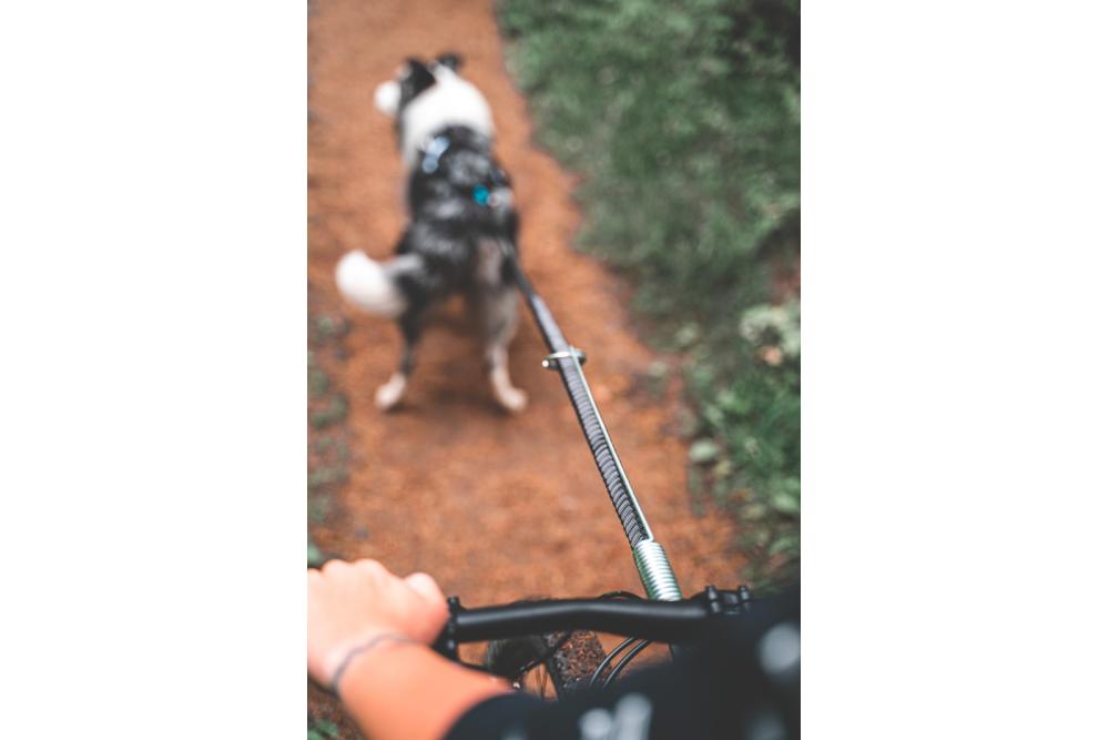 Soporte acoplador BIKE ANTENNA Non-Stop para bicicleta y patinete. Para que correa no se enrede en la rueda. Bikejoring. toma 4