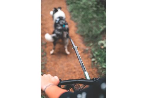 Soporte acoplador BIKE ANTENNA Non-Stop para bicicleta y patinete. Para que correa no se enrede en la rueda. Bikejoring. toma 4