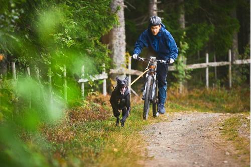 Soporte acoplador KLICK FIX Non-Stop para bicicleta y patinetes.  para que la correa no se enrede en la rueda. Bikejoring toma 3