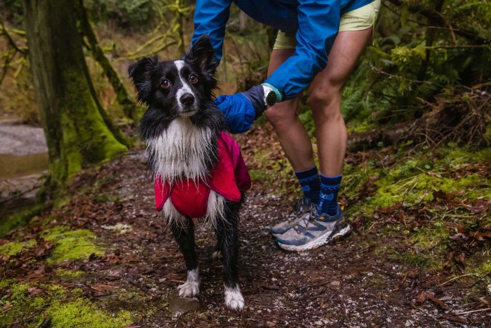 cubasquero para perros Ruffwear SUN SHOWER™ Azul. Ultra protección a la lluvia incluso más intensa 17