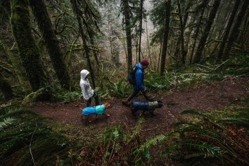 chubasquero para perros Ruffwear SUN SHOWER™ Rosa . Ultra protección a la lluvia incluso más intensa 12