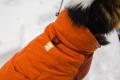 abrigo para perros Ruffwear VERT™  Naranja. Ultra caliente y de alta cubrición. Ideal para frío intenso, nieve... toma 12