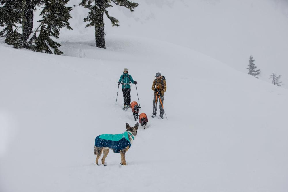 abrigo para perros Ruffwear VERT™  Naranja. Ultra caliente y de alta cubrición. Ideal para frío intenso, nieve... toma 18